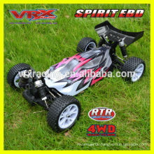 1/10 Geist EBL Elektro brushless buggy